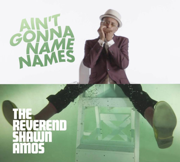 The Reverend Shawn Amos - Ain't gonna name names